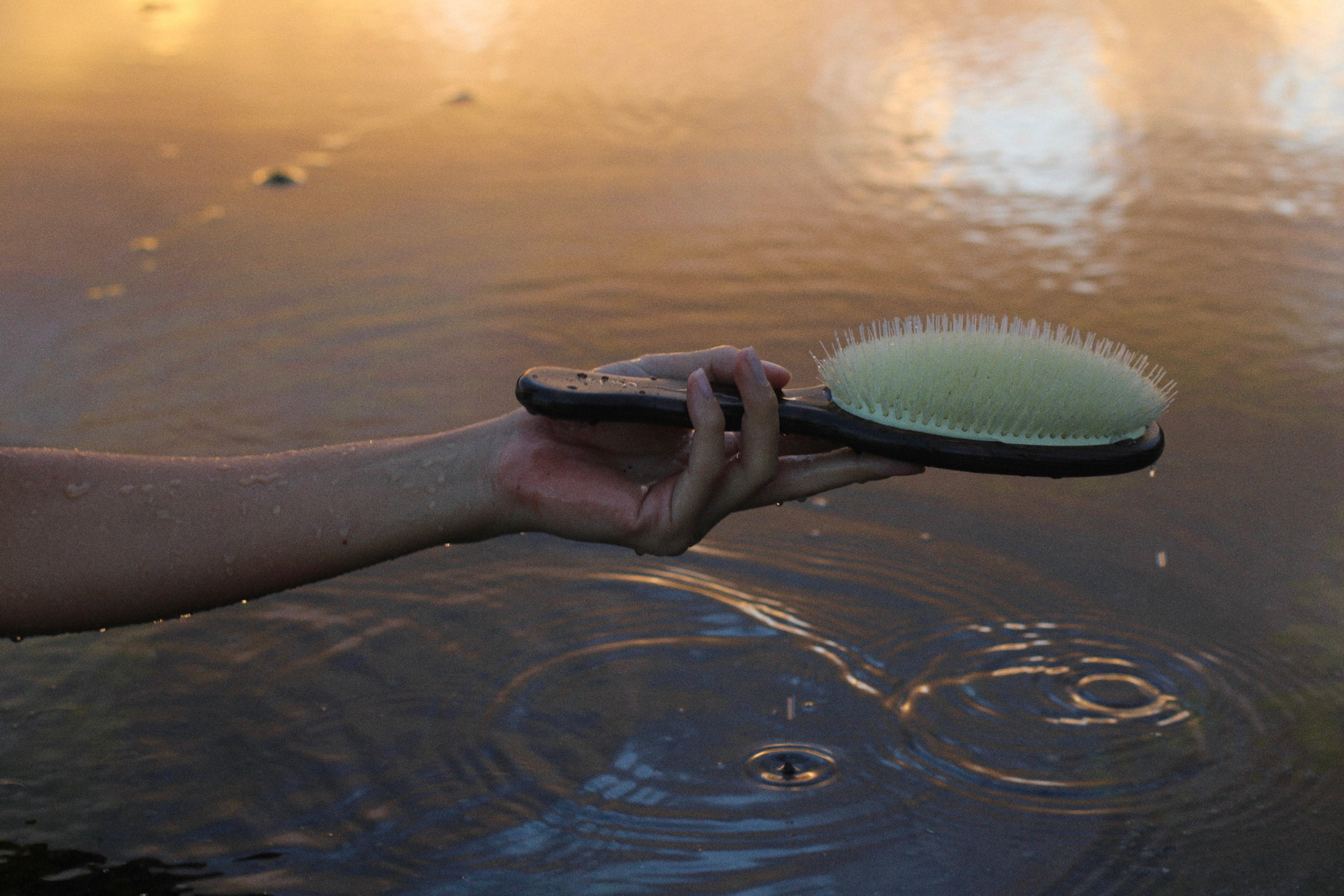 Boar Bristle Brush vs. Wet Brush: Which One Is Right for You?