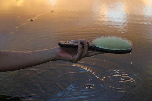 Boar Bristles and Why They’re Great for Every Hair Type